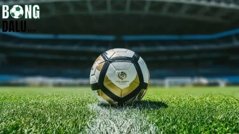 Cách tính lợi nhuận khi thắng cược kèo chẵn lẻ 