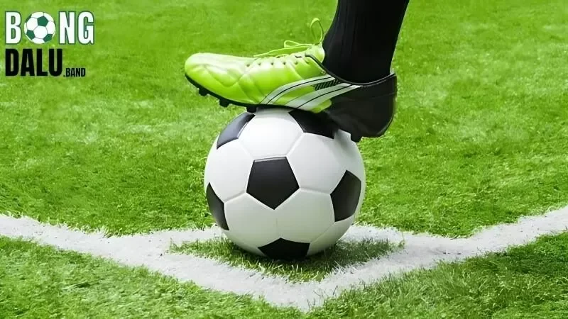 Phân tích và thống kê lại những thông tin cần thiết